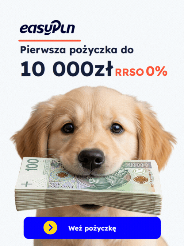 Pożyczka online