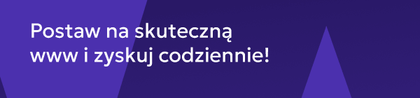 Postaw na skuteczną www i zyskuj codziennie!
